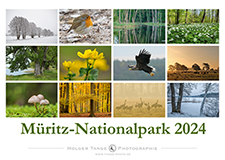 Zur Kalenderansicht