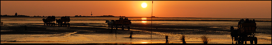 Sonnenuntergang bei Neuwerk