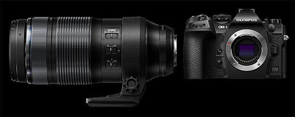 OM-1 und M. Zuiko 100-400mm, 1:5 - 6,3